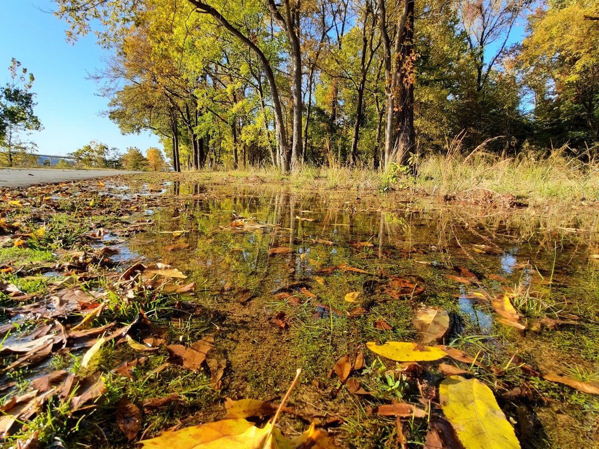 Holy Groans — Intercessory Prayer