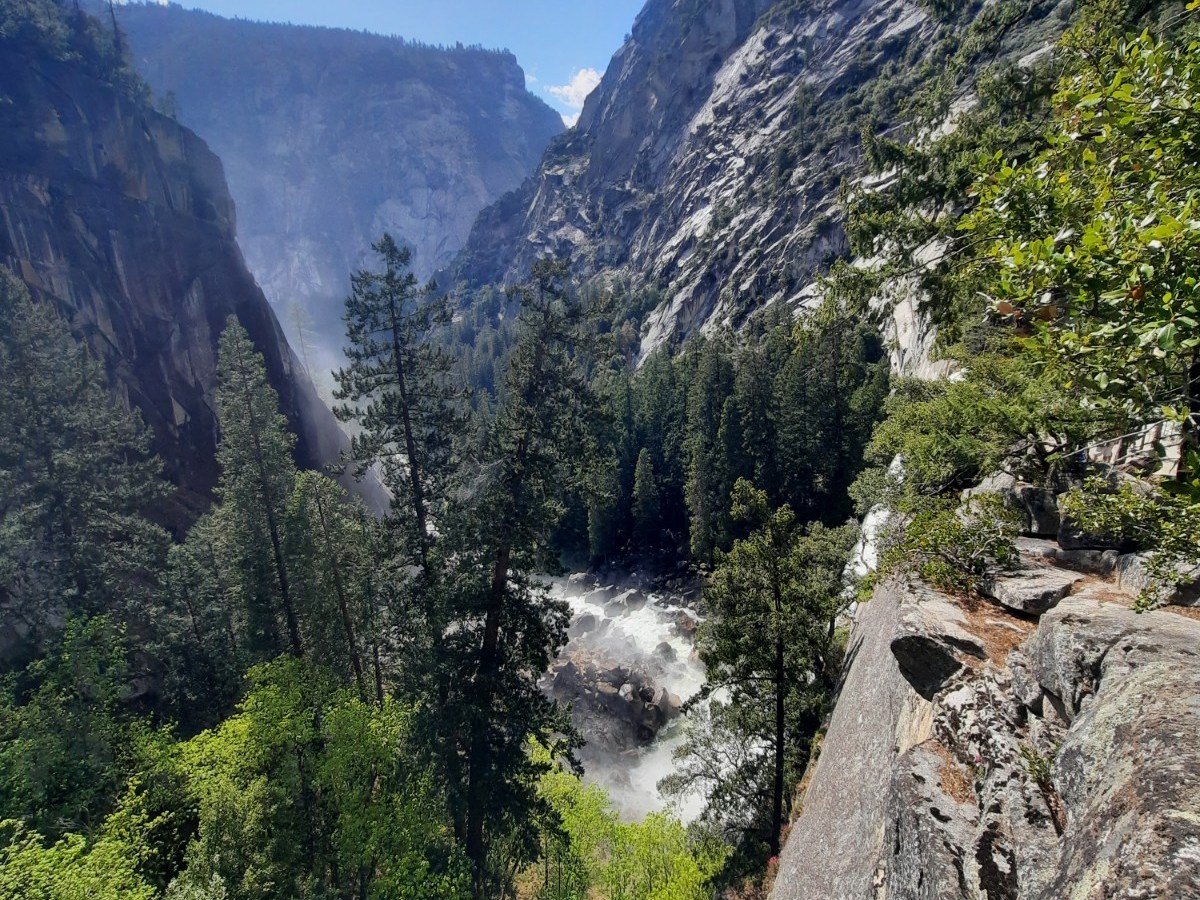 Leap of Faith — Airline Ticket